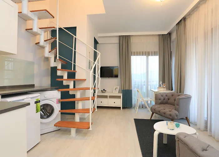 أجنحة ألب ماندالين اكياكا