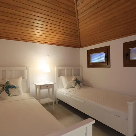 Alp Mandalin Akyaka (Mugla)