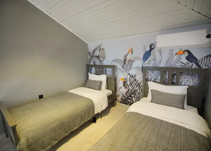 Alp Mandalin 阿奇亚卡