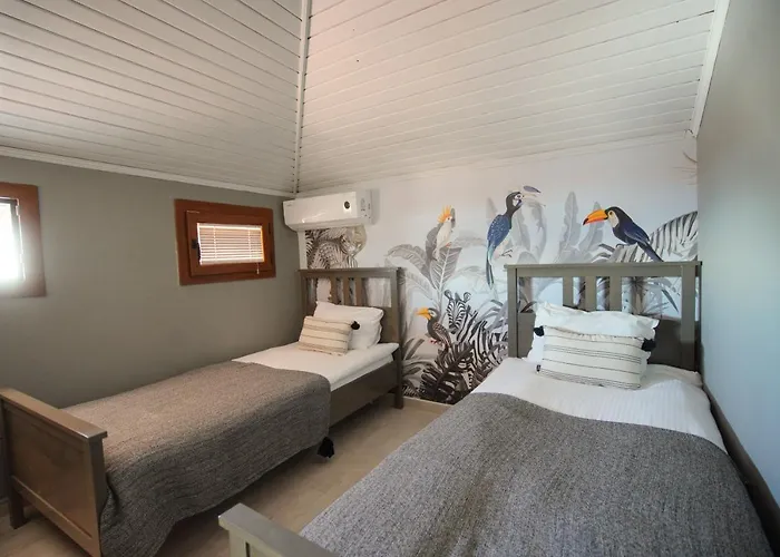 Alp Mandalin * Akyaka (Mugla)