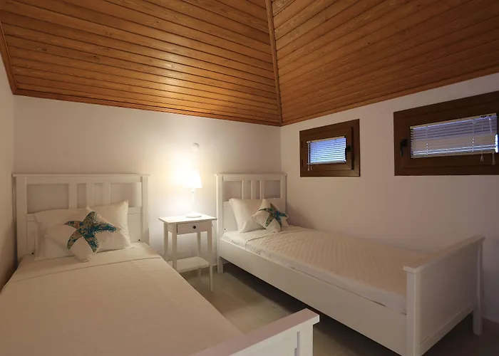 Alp Mandalin Akyaka (Mugla)